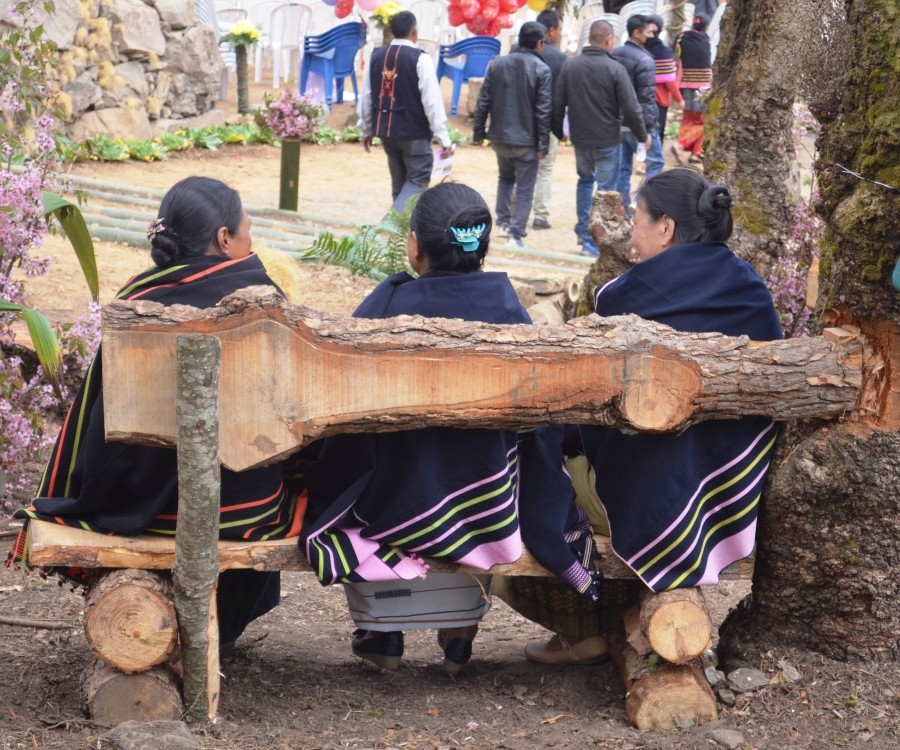 Nagaland State Commission for Women (NSCW) took cognizance of the rising crime against women within Nagaland and appealed for securing safety and dignity of women in the State. (For representational purpose only/ Morung file Photo)