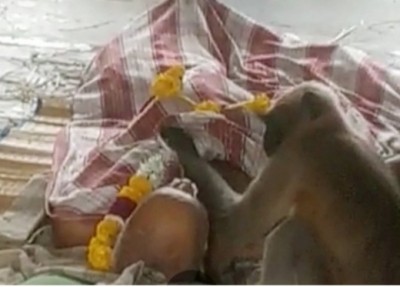 Image Source: IANS News