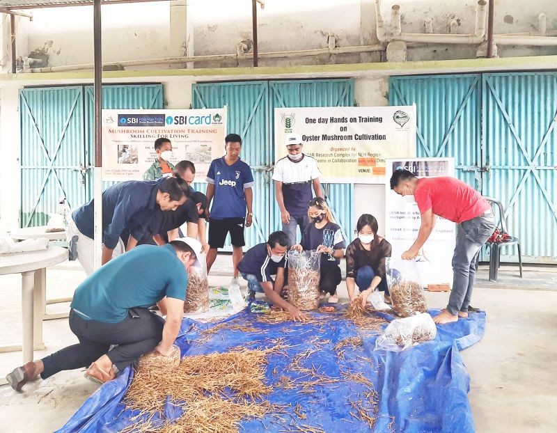Dr Aabon Yanthan, ICAR Research Complex, Nagaland Centre, specialized in mushroom and post harvest technology demonstrates practical procedure for mushroom cultivation. (Photo Courtesy:  AIDA Don Bosco)