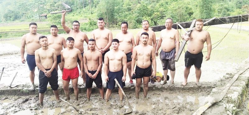 Wrestlers from Kohima village during paddy transplantation at Pele Khezhie’s paddy field recently. (Morung Photo)