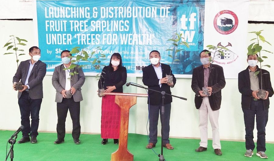 Neiba Kronu and others during the launching and distribution of fruit trees saplings at Pfutsero on July 5. (Morung Photo)