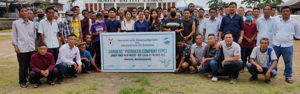 As a part of Mission Organic Value Chain Development phase III, the Horticulture officers from Mokokchung and members of Entrepreneurs Association from Kohima conducted training at Akhoya village on July 30. Farmers in Akhoya developed an organic banana farming project in Akhoya and the process of registration as Farmers' Producer Company Akhoya is in progress. 