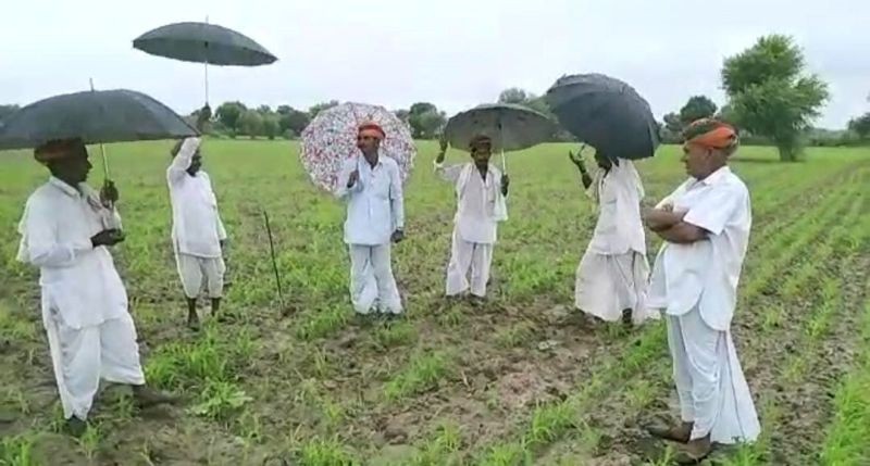 It rains when farmers sing Tejaji songs in Raj; Cambridge to pursue research. (IANS Photo)