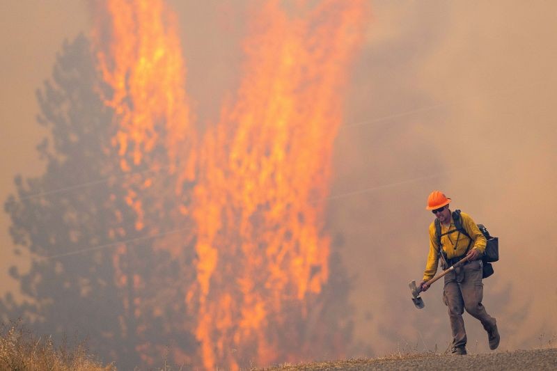 Lenore: After walking down a gravel road to do recon on a fire cresting into the trees, a wildland firefighter grimaces as he walks back to his crew on Thursday, Aug. 12, 2021, at the Bedrock Fire north of Lenore, Idaho. Lenore is about 30 miles east of Lewiston, Idaho.AP/PTI Photo