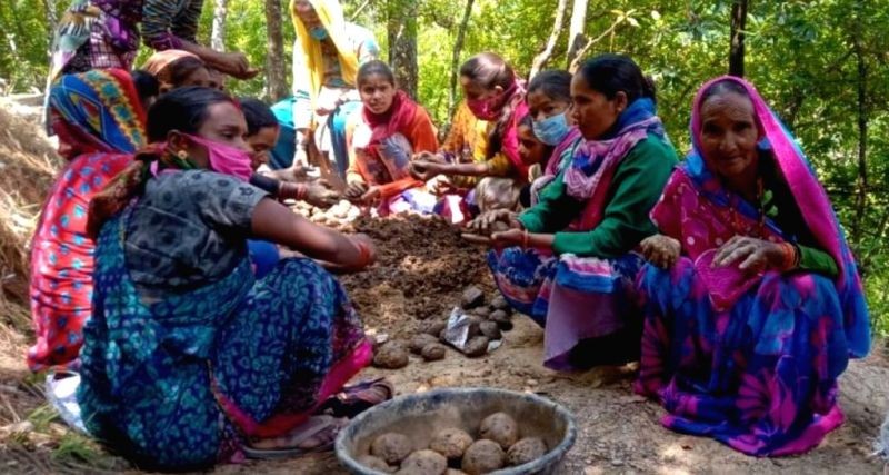 To protect crops from wild animals, Uttarakhand villagers are 'seed bombing' forests. (IANS Photo)