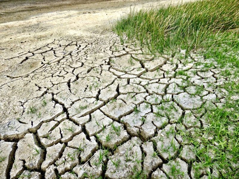 Droughts to increase in India, South Asia: IPCC report. (IANS Photo)