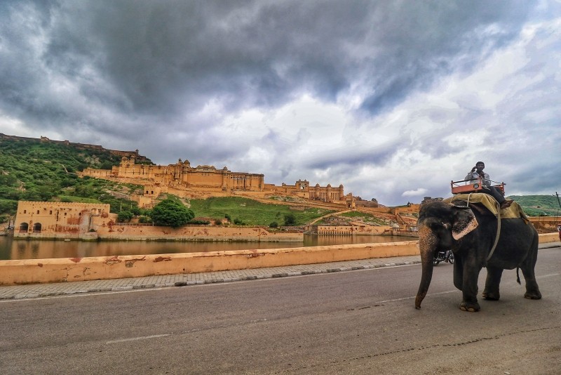 Jaipur: A mahout rides an elephant near the Ajmer Fort during monsoon season, in Jaipur, Sunday, Aug. 1, 2021. (PTI Photo)
