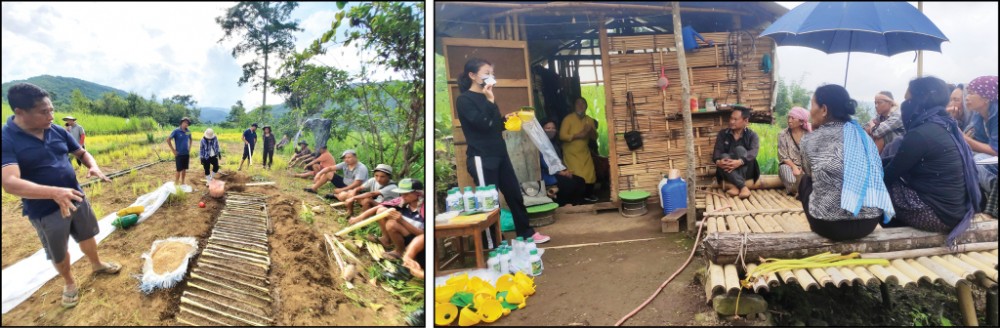 (Left) Jakhama block along with DAO field staffs and officers conducted field demonstration at Mima village on July 21. (Right) Hands on demonstration on the uses of IPM inputs and disseminated technical know-how at Mokokchung village on July 19.