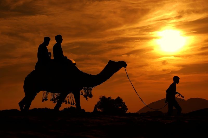 Pushkar: Tourists during camel safari in the desert of Pushkar, Friday, September 17, 2021. (PTI Photo)