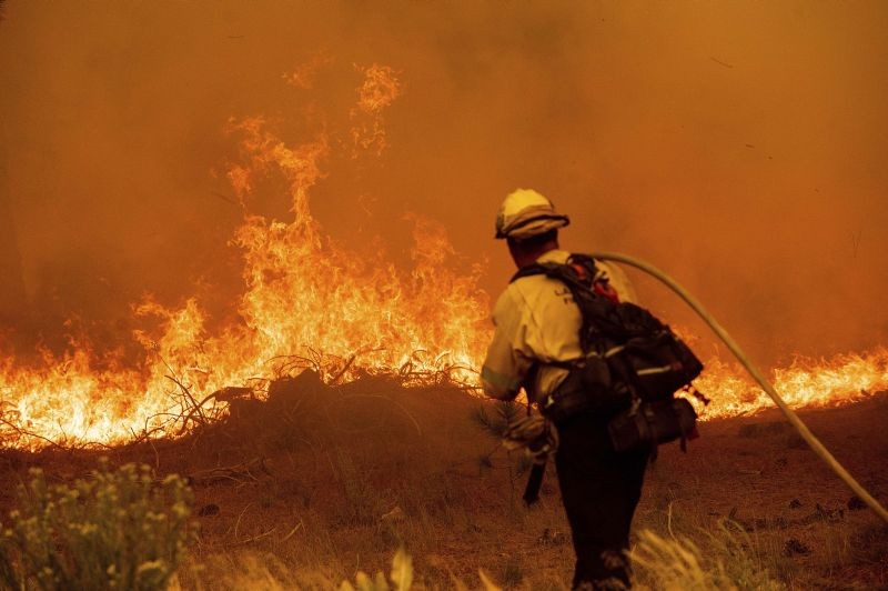 South Lake Tahoe: A firefighter battles the Caldor Fire along Highway 89, Tuesday, Aug. 31, 2021, near South Lake Tahoe, Calif. AP/PTI Photo