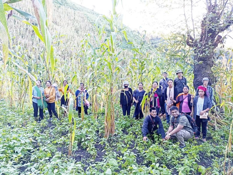 Farmers from Sukhai, Ghukhuyi and Kivikhu during their exposure trips to the Kiphire district. (Photo Courtesy: TVBCLN)