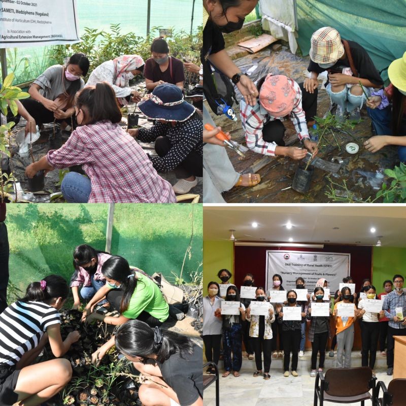 SAMETI Medziphema organised Skill Training of Rural Youth programme on ‘nursery management of fruits and flowers’ from September 27 to October 2. (Photo Courtesy: SAMETI) 