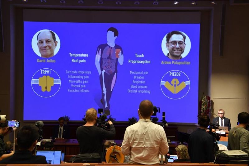 Nobel Committee member Patrik Ernfors, right, explains the 2021 Nobel Prize in Physiology or Medicine during a press conference at the Karolinska Institute in Stockholm, Sweden on October 4, 2021. The Nobel Prize in the field of physiology or medicine has been awarded to U.S. scientists David Julius and Ardem Patapoutian. They were cited for their discovery of receptors for temperature and touch. The winners were announced Monday by Thomas Perlmann, secretary-general of the Nobel Committee. (AP Photo)