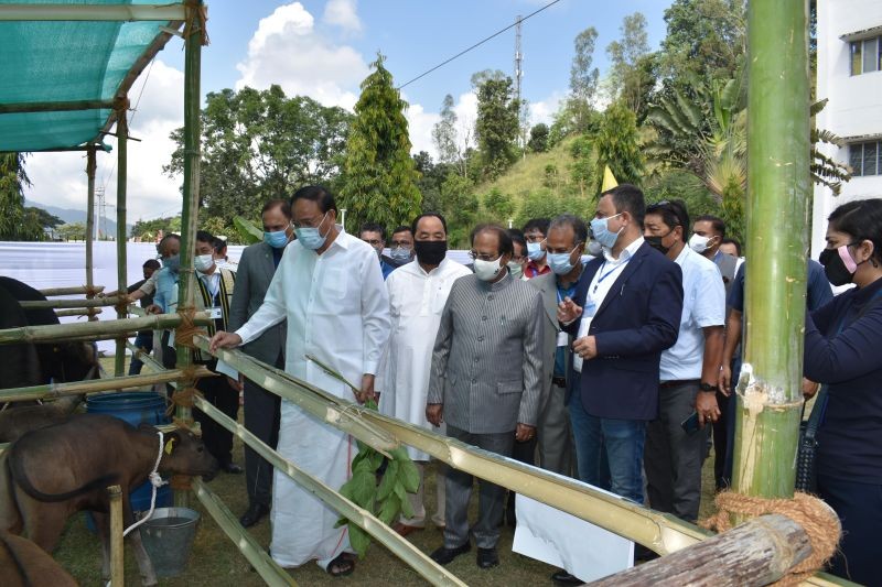 Vice President, Venkaiah Naidu  visited a live mithun show and offered fodder to the animals at the  ICAR-National Research Centre on Mithun on October 7. (Photo Courtesy: ICAR)