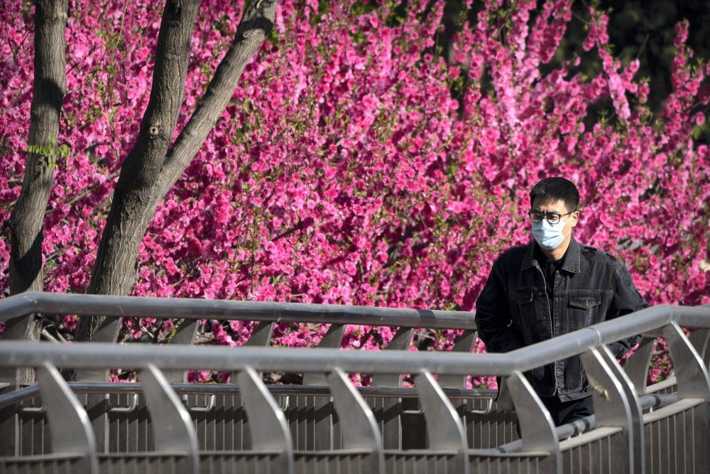 Covid cases continue to surge record high in Shanghai amid public anger