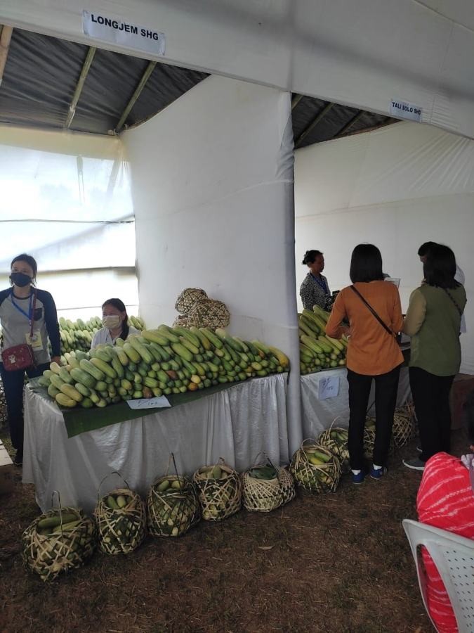 The two-day Cucumber Festival at Aliba Village Ground commenced on May 11.