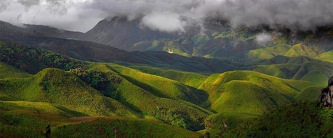 A view of the Dzükou valley. (Photo Courtesy: Hkhehoviy@twitter)