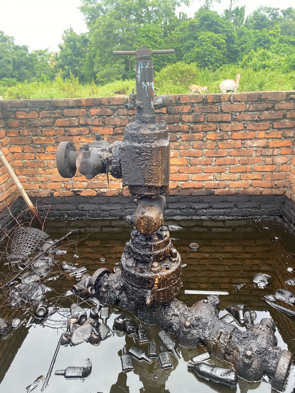 Deplorable condition of Tssori-Champang ONGC in Wokha district.