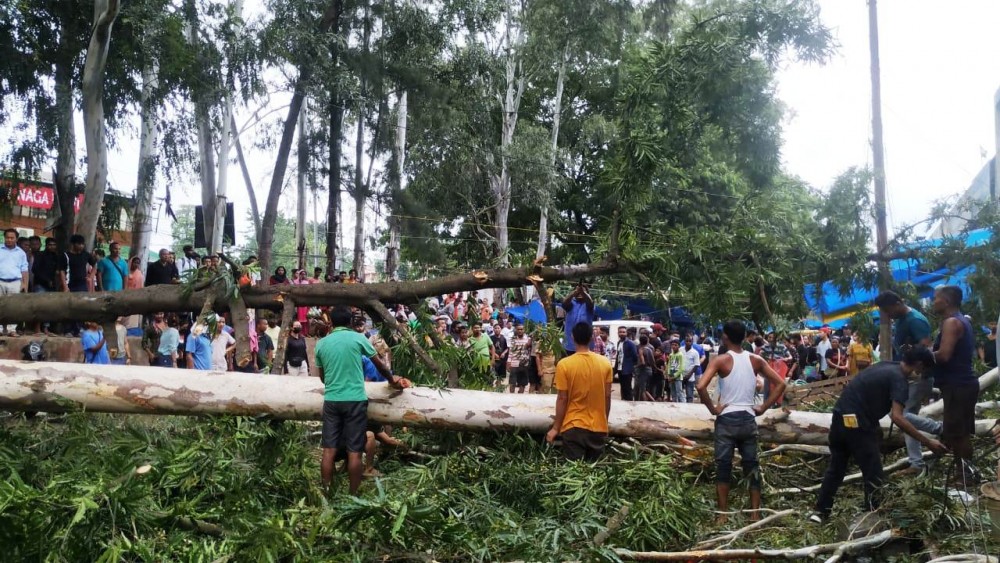 Locals trying to clear the debris after two trees fell to the ground, killing two persons and injuring six others, at Supermarket, Dimapur on October 12. (Morung Photo)