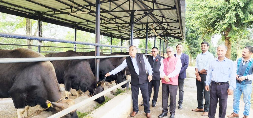Neiba Kronu and others during their visit to Mithun Farm at Medziphema on October 15. (Morung Photo)