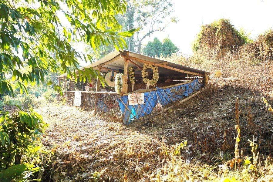 The graves of 13 out of the 14 youths who were killed by security forces at Oting on December 4 and 5, 2021.