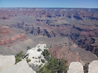 IANS Photo