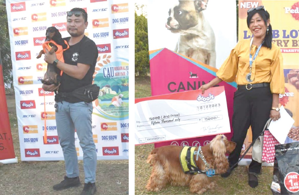 (Left) Pixie, Dakshun breed owned by Imkong Yaden bagged the first best show (Right) Valerie, an English Cocker Spaniel owned by Lolano Patton bagged the 2nd best show. (DIPR Photo)