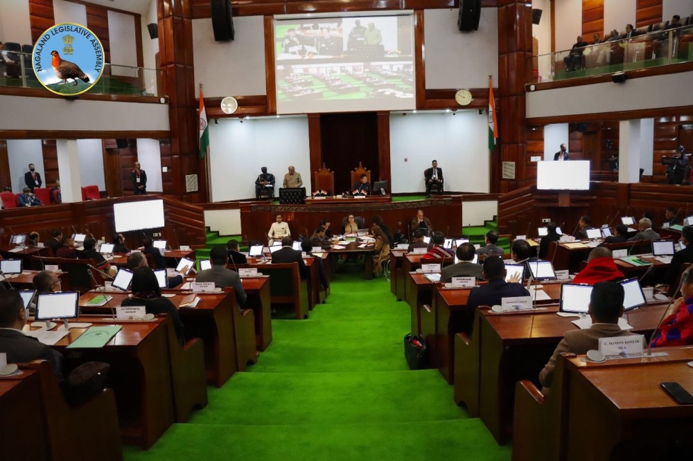 NLA introduces govt resolution on repeal of Public Debt 1944; Amendment ...