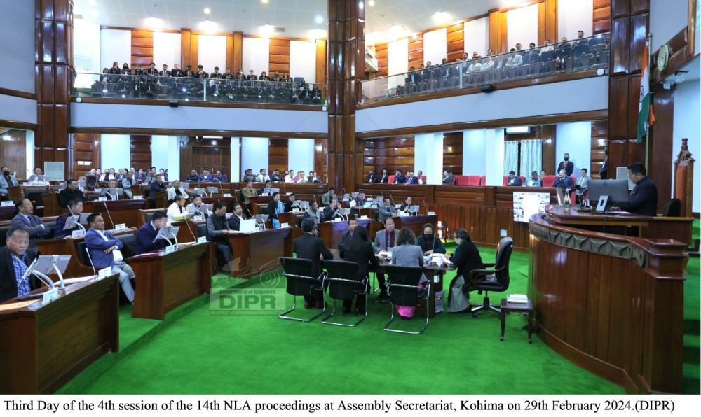 Nagaland Assembly holds discussion on budget 2024-25 - Vimarsana News
