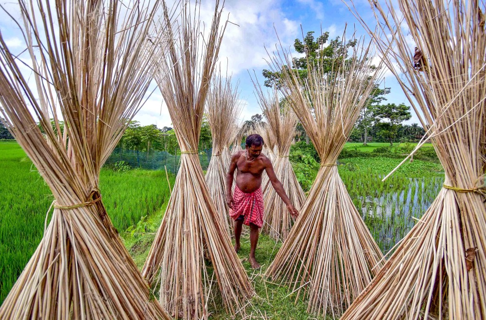 Representational photo. (IANS Photo)